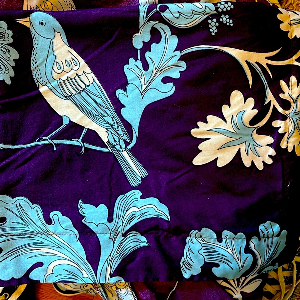 2 matching, twin size duvet covers with shams